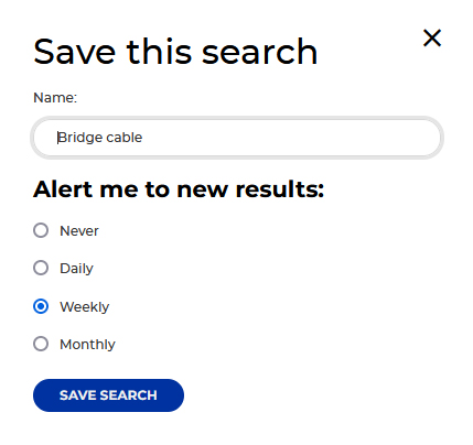 box showing how to name your search
